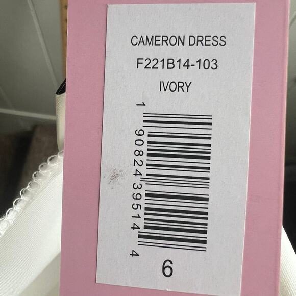 Sachin + Babi Ivory Cameron Dress Size 6 NWT - Picture 11 of 12